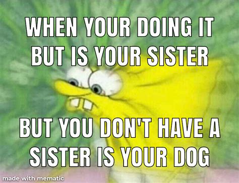 87 Best Stepbro Images On Pholder Goodanimemes Hol Up And Suddenly Gay