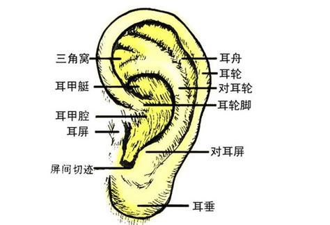 眼睛累了，你就按一按这些地方 超级视力表