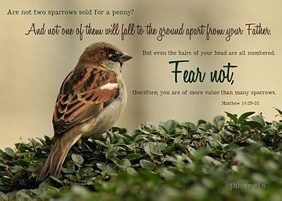 Matthew 1029 31 Esv 29 Are Not Two Sparrows Sold For A Penny And