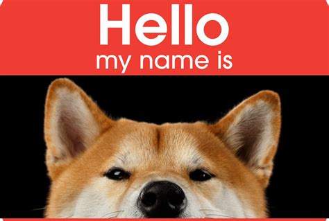 Shiba Inu Dog Names - My First Shiba Inu