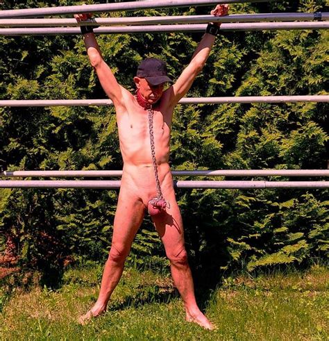 Naked Gay Slave Pig Exposed Penis Cage Outdoors Dildo In C Nt Photo 9