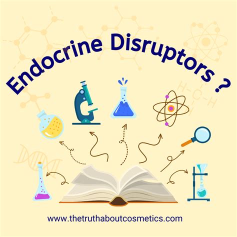 Endocrine Disruptors In Cosmetics Definition And How To Avoid Them