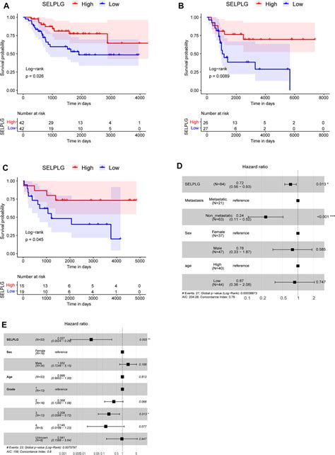 Pathology Oncology Research SELPLG Expression Was Potentially