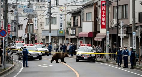 初心者必見：東北で急増する熊出没！車の中で生き延びるための実践マニュアル新宿 出張ペーパードライバー講習 ハートフルドライビング