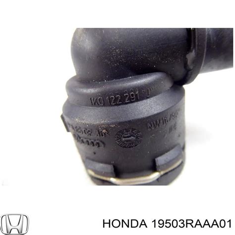 19503RAAA01 Honda шланг (патрубок радиатора охлаждения нижний)