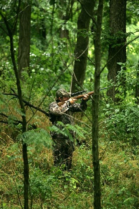 Free picture: hunting, canoing