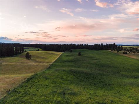 The Glasshouse On Monroe