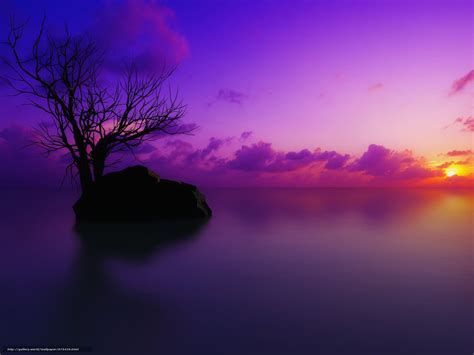 Sunset Wallpaper - Download Free Sunset Wallpapers