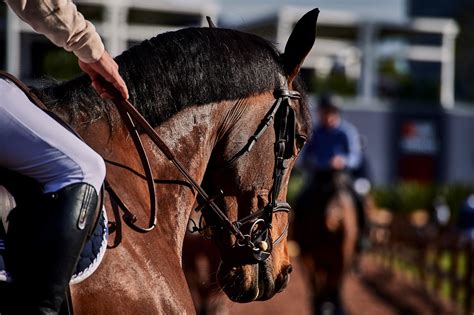 Longines Global Champions Tour México se convierte en el exponente de