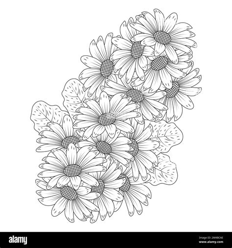 Chamomile And Daisy Flower Coloring Page Design With Detailed Line Art