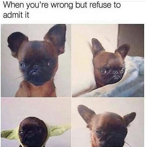 When you're wrong but refuse to admit it. - Funny
