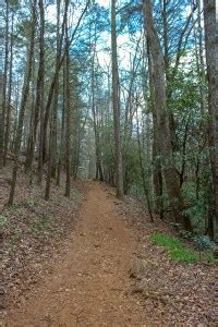 DeSoto Falls Trail, Cleveland, Georgia - The Walking Mermaid