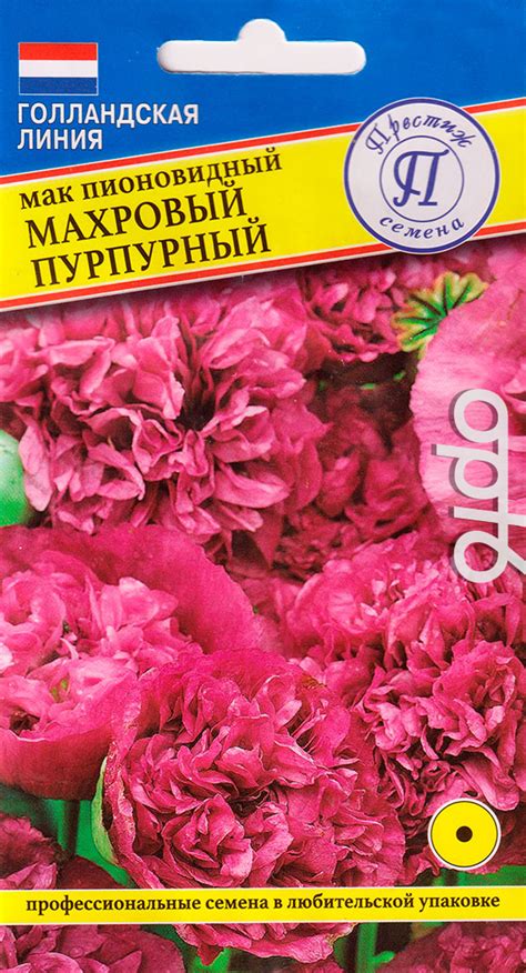 Мак пионовидный Махровый Пурпурный, 0,1г Голландская линия от 35 руб. в ...