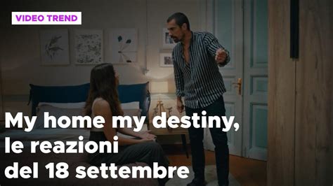 My Home My Destiny Il Riassunto E Le Reazioni Del Settembre