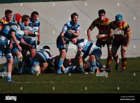 Carmarthen Quins Rfc Hi Res Stock Photography And Images Alamy