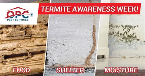 Opc Pest Services Termite Awareness Week Termites Termite Control