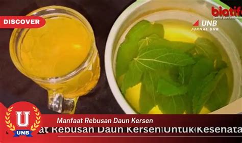 Ketahui 6 Manfaat Rebusan Daun Kersen Yang Bikin Kamu Penasaran