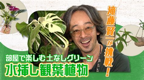 滝藤賢一が挑戦！水挿し観葉植物 Nhkラーニング