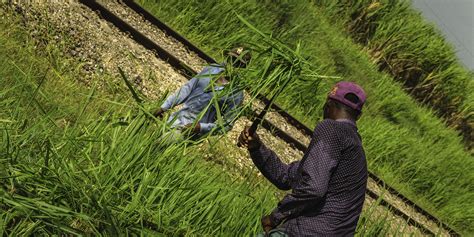 Paramilitary-Style Guards Instill Fear in Workers in Dominican Cane Fields