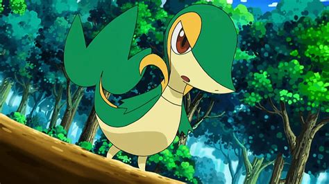 Snivy HD Wallpaper Pxfuel