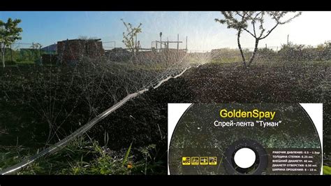 Спрей-лента Туман. Это лучшая система для полива огорода # ...