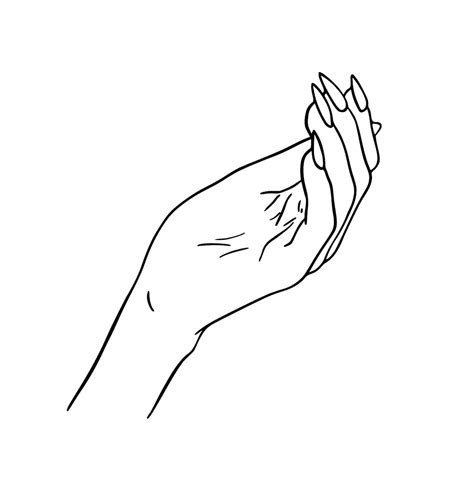 Premium Vector Female Hand With Long Nails Human Body Part Doodle