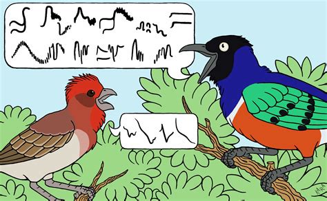 evolution  life long learning elife science digests elife