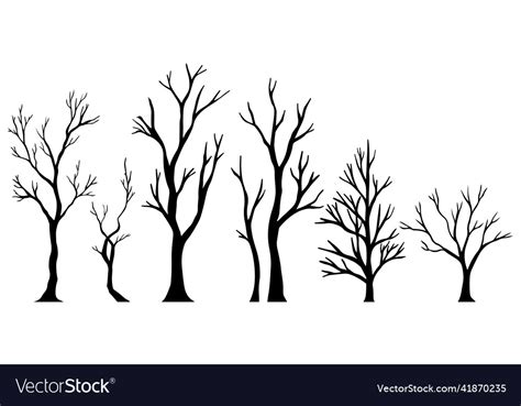 Set Of Hand Drawn Doodle Naked Trees Silhouettes Vector Image