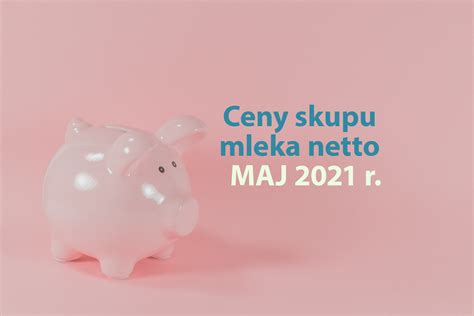 Ceny skupu mleka netto MAJ 2021 r Hodowla i Chów Bydła