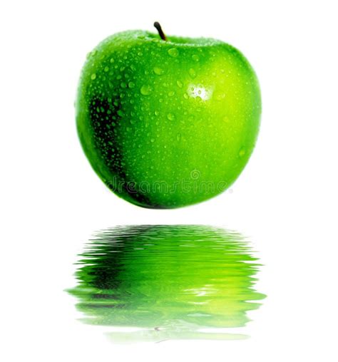 Green apple stock photo. Image of white, single, nature - 5063352