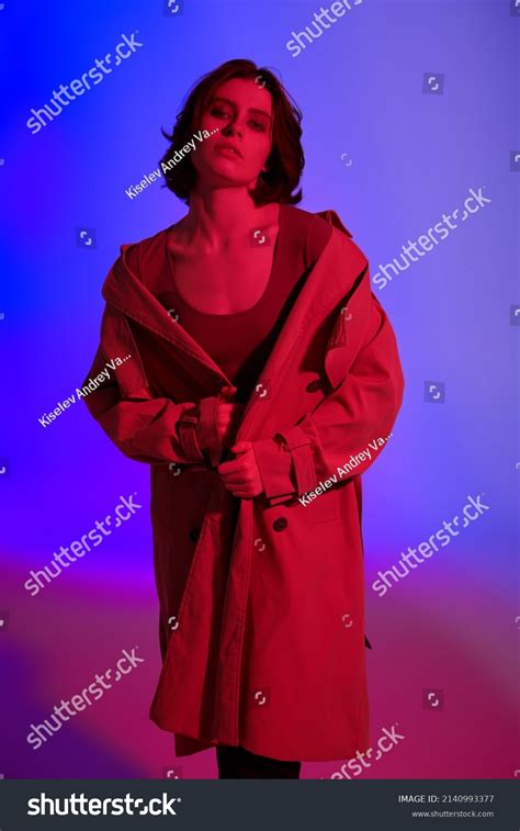 Fashion Shot Beautiful Brunette Girl Model Stock Photo Shutterstock