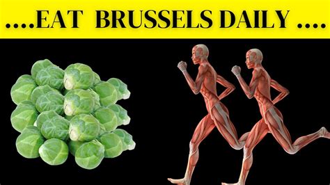 The Power Of Brussels Sprouts Unveiling The Incredible Health Benefits Youtube