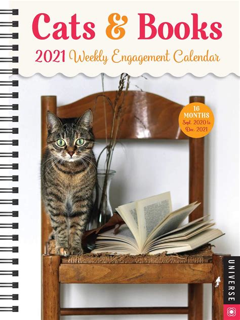 Cat Lovers 2018 6 X 775 Inch Weekly Engagement Calendar Animals Domestic Cats 1