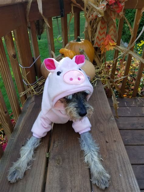 Dog Pig Costume Pet Pig Costume Halloween Pig costume | Etsy