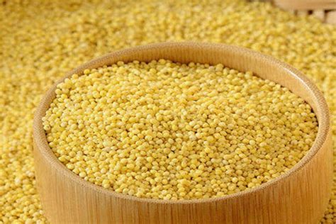 Foxtail Millet Rice - Nature Choice Enterprises