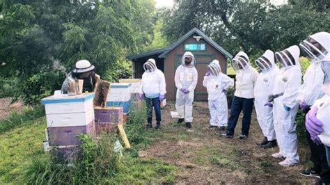 beekeeping workshops  webinars  michigan state university