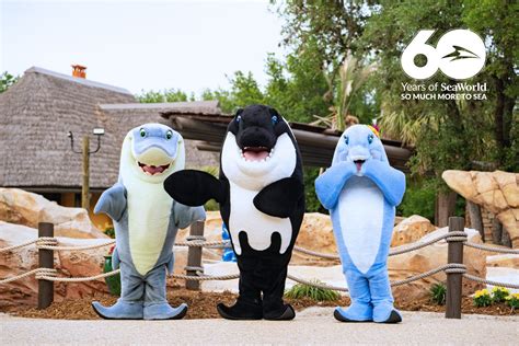 Seaworld Summer Has Begun Amusement Source Media