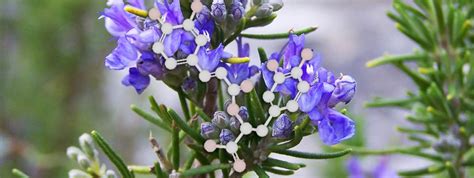 AGE BREAKER: you can take control of your aging.