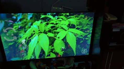 Pantalla Vios 4k 55 Pulgadas Como Nueva En Atoyac Jalisco Clasf