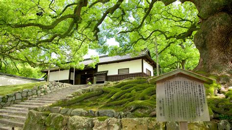Higashiyama Ward Kyoto Holiday Rentals Houses And More Vrbo