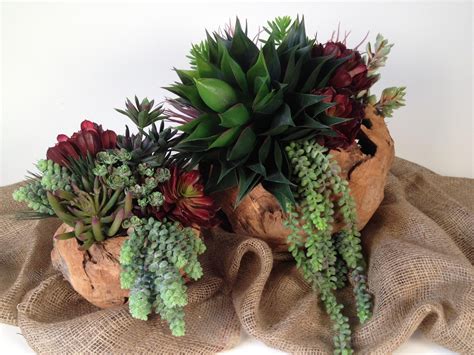 Суккуленты букет - 82 фото