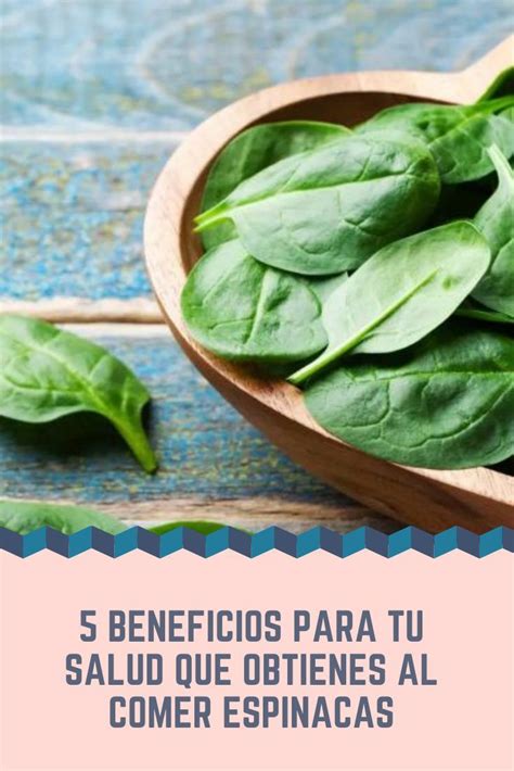 5 Beneficios Para Tu Salud Que Obtendrás Al Comer Espinacas Desde