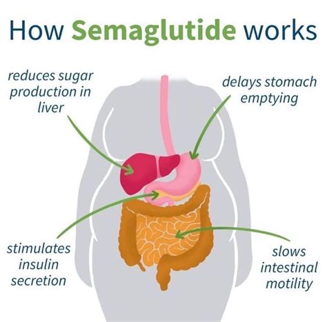 semaglutide reduces cardiovascular   high risk patients