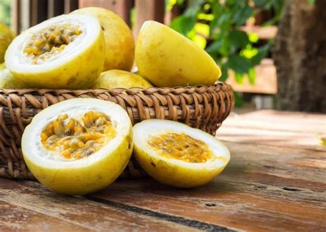 Maracujá É Fruta Cítrica - Frutas cítricas - Principais benefícios e variações mais populares
