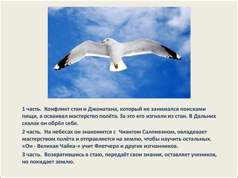 «Чайка по имени Джонатан Ливингстон». Урок по рассказу Ричарда Баха (9 ...