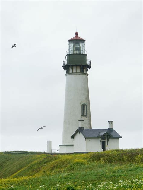 Oregon Lighthouse Map Yaquina Head Lighthouse oregon Usa Fabulous ...