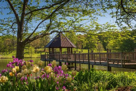 15 Top Things To Do In Northern Virginia