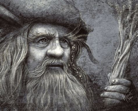 Radagast the Brown - FantasyArt Shop