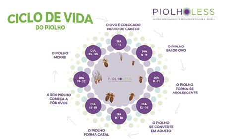 Da Onde Vem O Piolho - 10