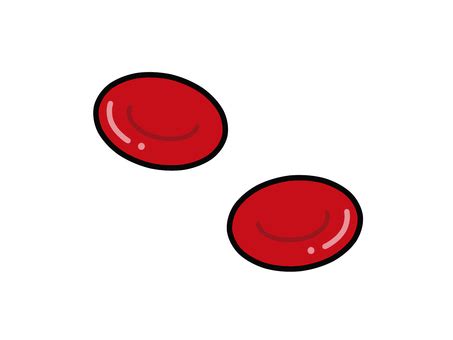 Blood Cells PNG Vector PSD And Clipart With Transparent Clip Art